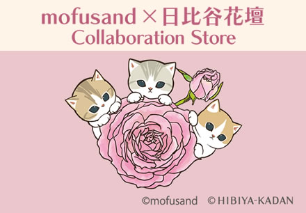 mofusand TOKYO